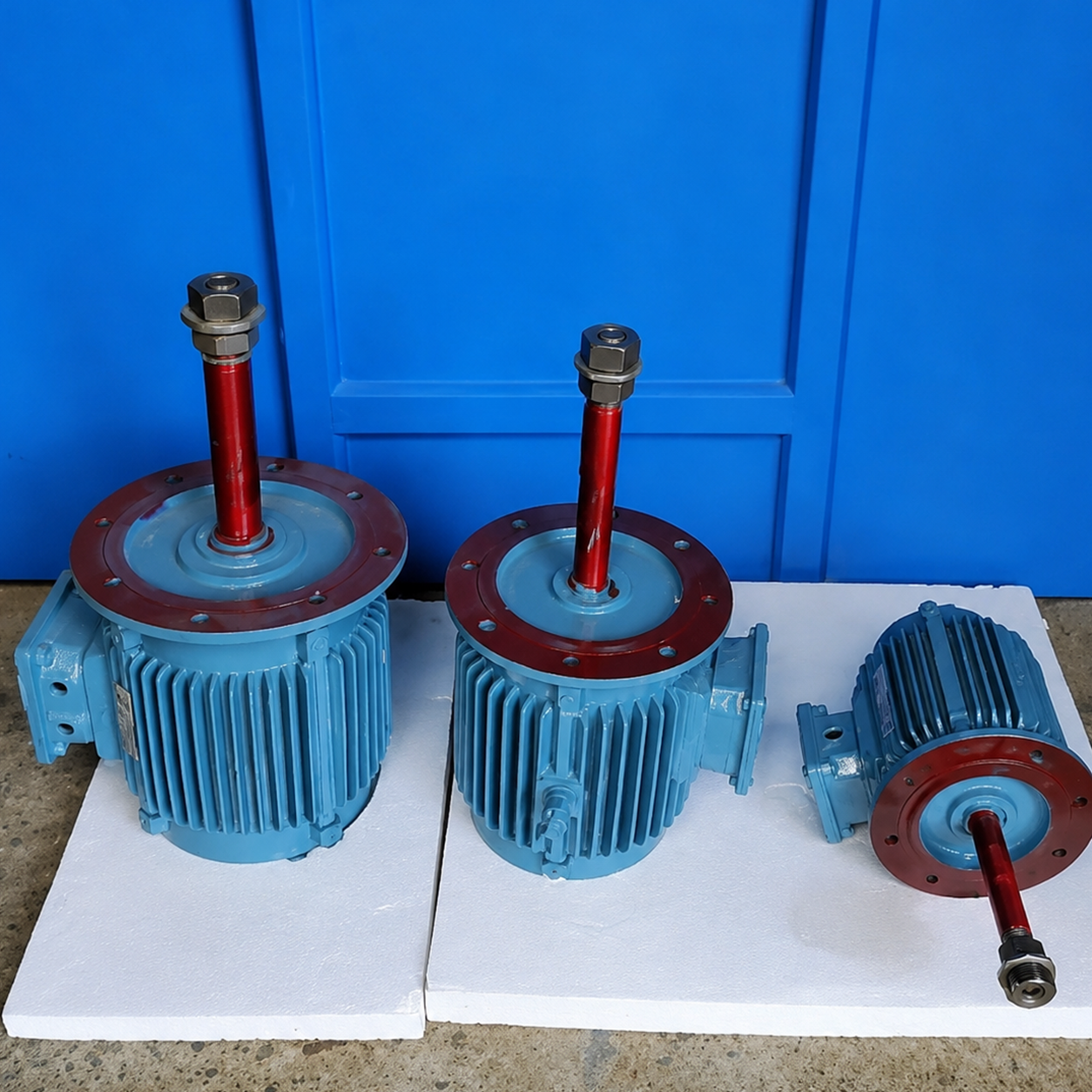 Electric motor